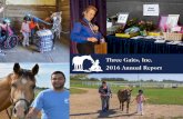 Three Gaits 2016 Annual Report - 3gaits.org · Three Gaits, Inc. 2016 Annual Report. Message from the Executive Director Dear Friends, 2016 was a memorable year at Three Gaits, …