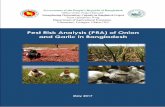 Pest Risk Analysis (PRA) of Coconut - DTCL · Pest Risk Analysis (PRA) of Coconut ... (Puccinia allii). ... Bangladesh through cross boundary pathway from India by the transportation