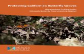 Protecting California’s Butterfly Groves - Xerces … California’s Butterfly Groves ... rare and endangered species, ... Introduction Page 4 Biology and Conservation of Western