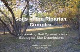 Soil Dynamics in the Riparian Complex - jornada.nmsu.edu · Soils in the Riparian Complex Incorporating Soil Dynamics into Ecological Site Descriptions Kenneth F. Scheffe, SSS August