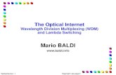 The Optical Internet Wavelength Division Multiplexing (WDM ...netgroup.polito.it/images/Didattica/CNTS-TSR_slide/OpticalInternet... · The Optical Internet Wavelength Division Multiplexing