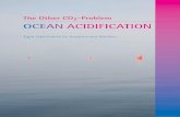 The Other CO2-Problem - Ocean Acidification · Ocean Acidiﬁcation - The Other CO2 Problem The oceans cover more than two-thirds of the planet earth. This vast body of water absorbs