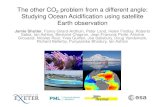 The other CO2 problem from a different angle: Studying ... fileThe other CO 2 problem from a different angle: Studying Ocean Acidification using satellite Earth observation Jamie Shutler,