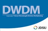 DWDM - XENYAsup.xenya.si/sup/info/jdsu/pocket_guides/DWDM... · Introduction 4 The history of DWDM 7 Components of a DWDM System 12 Transponder 13 Multiplexer (MUX) 14 Fiber 14 Amplifier
