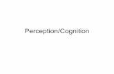 Perception/Cognition - INFOAMÉRICA | El portal de la ... and Other Minds • Agents and intentionality. People are totally different from other objects. People are agents with minds.