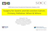 Surgery for Gastric and GE Junction Cancer, Primary ...oncologypro.esmo.org/.../1277484/file/ESMO-Preceptorship-on-Gastric... · Surgery for Gastric and GE Junction Cancer, ... Extensive