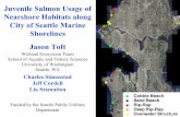 Juvenile Salmon Usage of Nearshore Habitats along City Salmon Usage of Nearshore Habitats along ... (ppt) Average Secchi Depth (m) ... Gastric lavage of juvenile chinook shows less