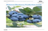 ID-210: Midwest Blueberry Production Guide Agriculture and Natural Resources • Family and Consumer Sciences • 4-H Youth Development • Community and Economic Development COOPERATIVE