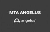 MTA ANGELUSangelusdental.com/img/arquivos/mta_angelus_bula.pdf · resorption, reverse root filling, pulp capping, pulpotomy, apexification, and apexogenesis. MTA ... • Do not use