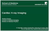 Cardiac X-ray Imaging - Institute of Physicsmpss.iop.org/summer_school/2012/programme/Monday/… ·  · 2012-07-20Cardiac X-ray Imaging ... X-ray imaging can be used to detect soft