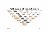 Classification - Buffalo High School · Classification 2.3 Classification of Living Things Learning Objectives Explain what makes up a scientific name. Explain what defines a species.