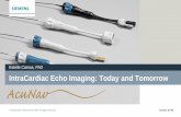 PhD IntraCardiac Echo Imaging: Today and Tomorrowwinterarrhythmia.com/wp-content/uploads/2015/02/150206_EP_Winter... · IntraCardiac Echo Imaging: Today and Tomorrow . Estelle Camus,