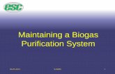 Maintaining a Biogas Purification System - CWEA a Biogas... · 06-05-2013 SARBS 19 As a rule, it costs about $1.00 to $2.50 per pound of H2S removed from a digester gas stream (the