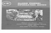 MARINE FISHERIES INFORMATION SERVICE of ribbon fish, lesser sardines, Thrissocles and mackerel to the tune of about 9,300, 7,800, 3,900 and 3,600t. respectively was mainly responsible