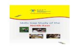 NSDC Skill Gap Study of the North East - Nagalandinskills.co.in/download/States/Nagaland - SGR.pdfNSDC Skill Gap Study of the North East - Nagaland 3 About National Skill Development
