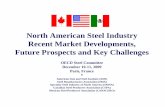 North American Steel Industry Recent Market …/media/Files/AISI/Public Policy/NAFTA-OECD...North American Steel Industry Recent Market Developments, ... India : +1.6 Global Production: