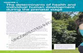 CHAPTER 7 The determinants of health and individual … · The determinants of health and individual human ... individual human development during the ... throughout the prenatal