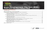 Brain Development: The Teen Brain Posts From the Sara ... · Brain Development: The Teen Brain Posts From the Sara Bellum Blog Table of Contents ... Be Aware for Your Brain: Drugs