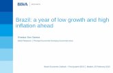 Brazil: a year of low growth and high inflation ahead has a year of low growth and high inflation ahead. ... Negative effect in Mexico, partially offset by the ... The country's reservoirs