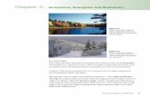 Chapter 3 ·  · 2009-11-26Chapter 3: Ecosystems, Ecoregions and Biodiversity ... many of the animals and plants found in other areas of North America. ... Ecoregions differ from
