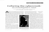 Collaring The Cybercrook: an investigator's View - In the ... · The type of criminal in StollS book is not an isolated phenomenon, nor can his skills be ... horses is the "salami