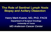 The Role of Sentinel Lymph Node Biopsy and Axillary …e-syllabus.gotoper.com/_media/_pdf/SOBO2012_14_Kuerer...The Role of Sentinel Lymph Node Biopsy and Axillary Dissection Henry