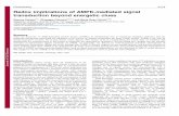 Redox implications of AMPK-mediated signal transduction ...jcs.biologists.org/content/joces/125/9/2115.full.pdf · Redox implications of AMPK-mediated signal transduction beyond energetic