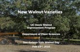New Walnut Varieties - Fruit and Nutsccfruitandnuts.ucanr.edu/files/239180.pdf · •Yield – Precocity, Lateral flowering, No PFA • Kernel color • Early harvest dates • Kernel