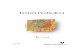 Protein Purification - ACRF Biomolecular Resource … Introduction The development of techniques and methods for protein purification has been an essential pre-requisite for many of