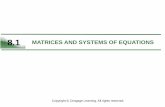 8.1 MATRICES AND SYSTEMS OF EQUATIONSacademics.utep.edu/Portals/1788/CALCULUS MATERIAL/8... · MATRICES AND SYSTEMS OF EQUATIONS . 2 ... Row matrix: A matrix that has ... Now, apply