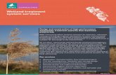 Wetland treatment system services - WWT Consulting treatment system services ... specialist understanding of designing and managing wetland ... Design of surface water attenuation