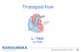 Eva Mattsson oktober 2012 - Lunds universitet TGA Lun… · 4 TGA. Anatomi/Terminologi - ccTGA atrioventrikulär diskordans ventrikuloarteriell diskordans aorta och pulmonalis parallella