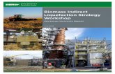Biomass Indirect Liquefaction Strategy Workshopenergy.gov/sites/prod/files/2014/07/f17/IDLworkshop_summary_report...Workshop. Workshop Summary Report. ... (BETO) held the Biomass Indirect