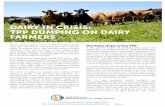 DAIRY IN CRISIS: TPP DUMPING ON DAIRY FARMERS¬ng-Note-v5 ... Food and Education Network, Purdue University, 2008. 7. TPP Final Text Tariff Elimination Schedule ...