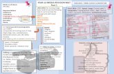 YEAR 12 MEDIA REVISION MAT ‘LANGUAGE’, … 12 MEDIA REVISION MAT Media is all about Part 1 ... For Camerawork/cinematography ... , FORMS CODES & CONVENTIONS