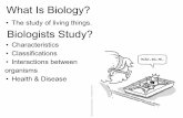 •Characteristics What Is Biology? - Mrs. Touw's World of …touw.weebly.com/uploads/9/6/3/0/9630017/characteristi… ·  · 2017-10-02(Place in Order from Smallest to Largest)