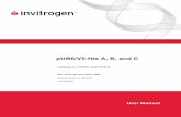 Catalog no. V250-01 and V250-20 - Thermo Fisher Scientific · iv Kit Contents and Storage Shipping and Storage pUB6/V5-His A, B, and C vectors are shipped on wet ice. Upon receipt,