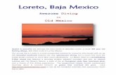 Loreto, Baja Mexico - TL Seatlsea.com/pdf-files/loreto2016.pdfLoreto, Baja Mexico Awesome Diving in Old Mexico Quaint & peaceful are perhaps the best words to describe Loreto, a small