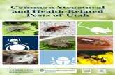 Common Structural and Health-Related Pests of Utah PDF version is available online on the USU School Integrated Pest Management website ( schoolipm/). To order additional bound copies