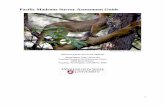 Pacific Madrone Survey Assessment Guide · Pacific Madrone Survey Assessment Guide . ... Or choose one of the options ... and quality of Pacific madrone stands may be greatly improved