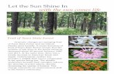Let the Sun Shine In with the sun comes life - Illinois DNR 2014. At the same time, ... Let the Sun Shine In Trail of Tears State Forest with the sun comes life da. ... Reviewer Created