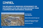 The Influence of Reservoir Heterogeneity on Geothermal ... Heterogeneous and Homogeneous Geopressured Geothermal Reservoirs ... based on well data ... Two types of homogenous models: