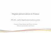 Digital preservation in France - Kanton St.Gallen · Digital preservation in France ... metadata, data embedded in an XML file ... DWG R2007/R2004/R2000/R14/R13/R12/R11/R10/R9 Open