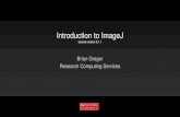 introduction To Imagej - Bu.edu · Introduction to ImageJ tutorial version 0.1.1 Brian Gregor Research Computing Services. Tutorial Outline Image Format Types Vector Images ... JPEG,