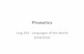 Phonetics - University of Delawareudel.edu/~dlarsen/ling203/Slides/Phonetics Overview.pdf · What is phonetics? ... part of the tongue when producing a ... •English vowels can be