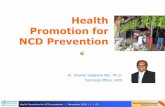 Health Promotion for NCD Prevention - University of Pittsburghsuper4/41011-42001/41151.pdf · Health Promotion for NCD prevention | November 2010 | 1 ... THE MEDICAL MODEL DIAGNOSE