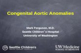 Congenital Aortic Anomalies - NASCI Presentation... · Congenital Aortic Anomalies . 16 mo with chronic cough . 16 mo with chronic cough . Which vessel configuration is LEAST likely