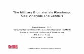 The Military Biomaterials Roadmap: Gap Analysis and … · The Military Biomaterials Roadmap: Gap Analysis and CeMBR David Devore, Ph.D. ... bandage Chemical warfare: ... TyRx Pharma’s