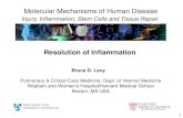 Resolution of Inflammation - az9194.vo.msecnd.netaz9194.vo.msecnd.net/pdfs/100602/009.pdfKumar et al. Robbins Basic Pathology 8/E ... Resolution of Acute Inflammation Is An Active