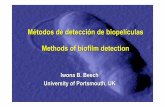Métodosde detecciónde biopelículas Methods of …avalon.utadeo.edu.co/dependencias/publicaciones/memorias/conferen...Métodosde detecciónde biopelículas Methods of biofilm detection